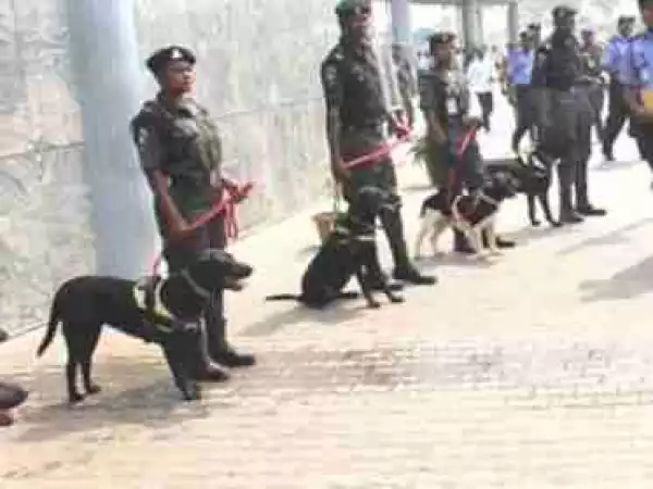 Police, Civil Defence Demand N317m To Feed Dogs, Horses Ahead Of 2019 Elections